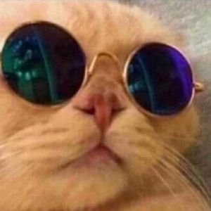 Meet your Posher, Frick